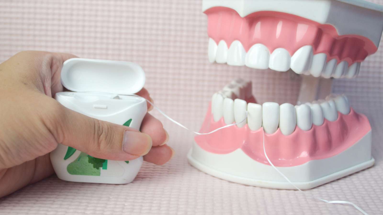 hand holding dental floss to flossing teeth model